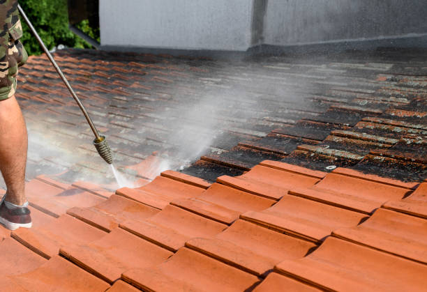 Best Roof Power Washing Services  in Willard, OH