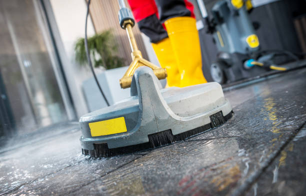 Best Roof Pressure Washing  in Willard, OH