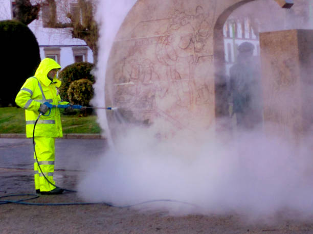 Best House Pressure Washing  in Willard, OH