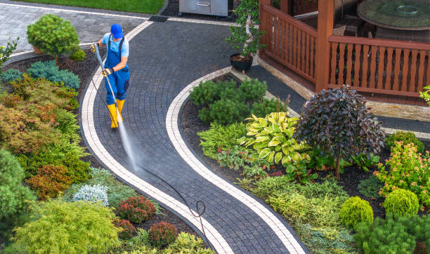 Best Pressure Washing Near Me  in Willard, OH